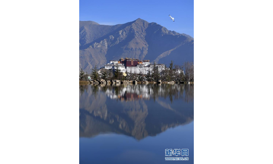 这是3月12日拍摄的布达拉宫。

　　当日，西藏拉萨天气晴好，春光明媚。

　　新华社记者 觉果 摄