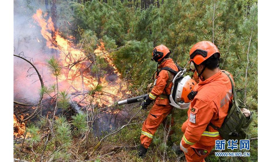 6月4日，武警森林部队官兵在汗马国家级自然保护区进行扑火。 新华社记者 刘磊 摄