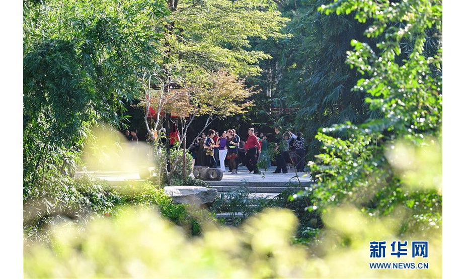 　　10月27日，市民在绿树掩映的福州白马河畔串珠公园里晨练。新华社记者 林善传 摄

