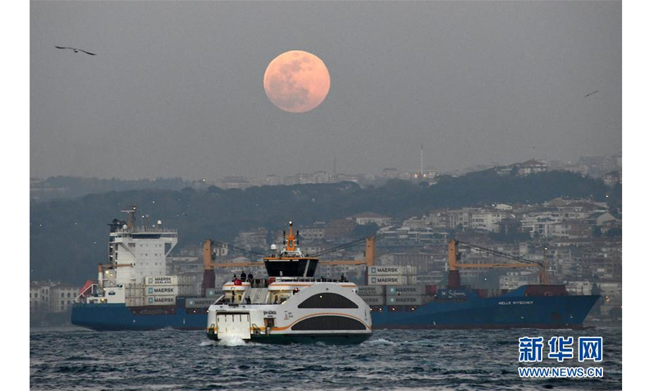 这是2月19日在土耳其伊斯坦布尔博斯普鲁斯海峡拍摄的月亮。

　　年度“最大最圆月”19日（正月十五）现身天宇“合体”元宵月，为人们在世界各地赏月平添情趣。

　　新华社记者 徐速绘 摄 
