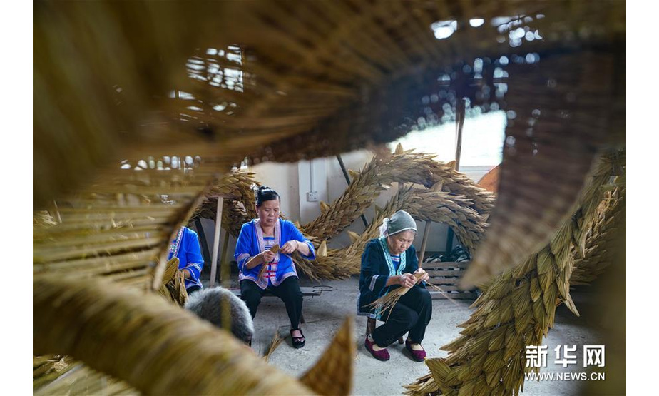 在广西龙胜各族自治县平等镇广南侗寨，村民在编织草龙（6月9日摄）。 新华社发（黄勇丹 摄）