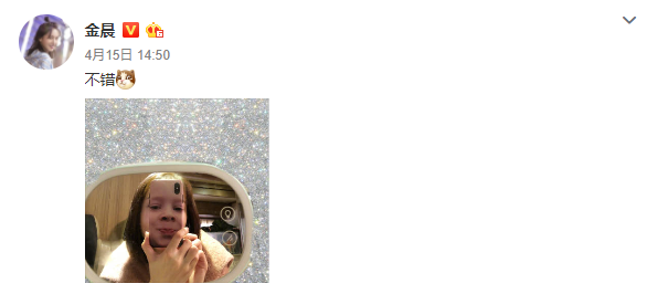 贾乃亮谈与金晨恋情:手机壳一次买了俩