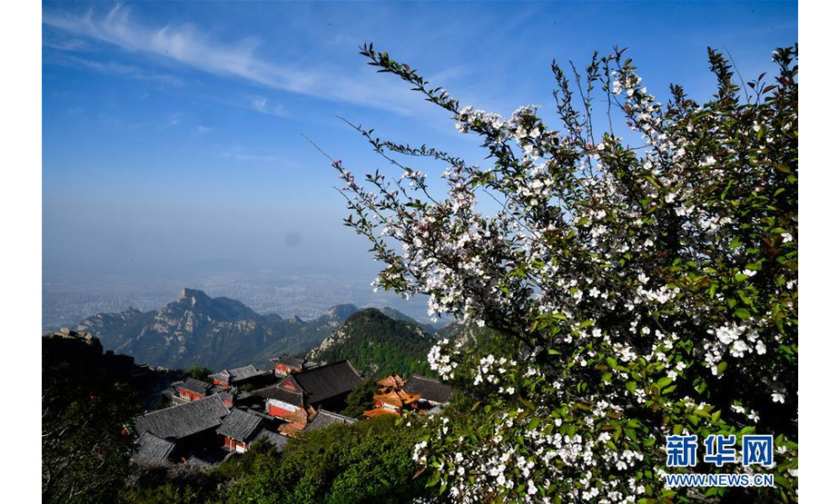 这是5月21日拍摄的泰山碧霞祠。 泰山位于中国山东省的中部，主峰玉皇顶海拔1545米。初夏的泰山，风景如画，吸引游客前来参观游览。 新华社记者郭绪雷摄