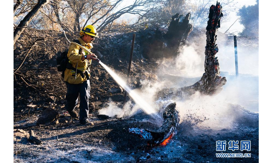 11月12日，在美国加利福尼亚州锡米瓦利，消防员在火场灭火。 美国西部加利福尼亚州两场山火11日持续肆虐，救援人员当天又找到6具遗体，死亡总人数上升至31人。 新华社发（钱卫忠摄）