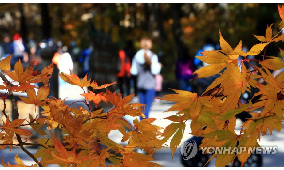 25日，游客们来到雪岳山国立公园，在小公园享受观赏枫叶的乐趣。