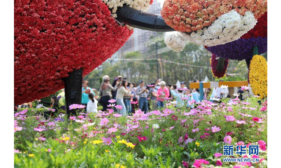 3月19日，游客在香港花卉展览上赏花。 近日，正在香港维多利亚公园举办的香港花卉展览吸引众多市民、游客前来游玩。 新华社记者 吴晓初 摄