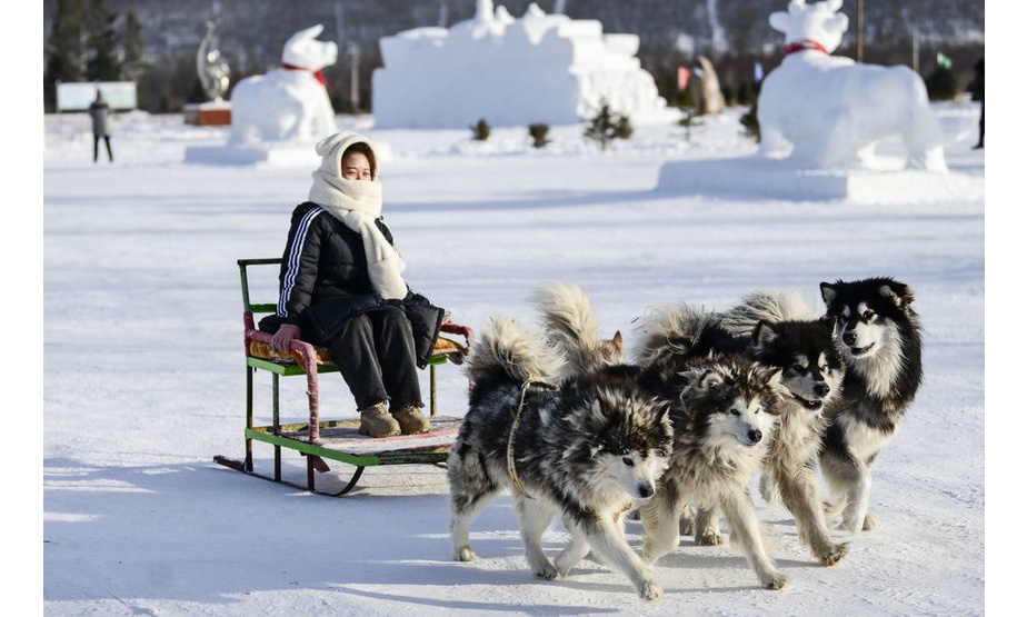 1月17日，一名游客在“冷极村”乘坐狗拉雪橇。