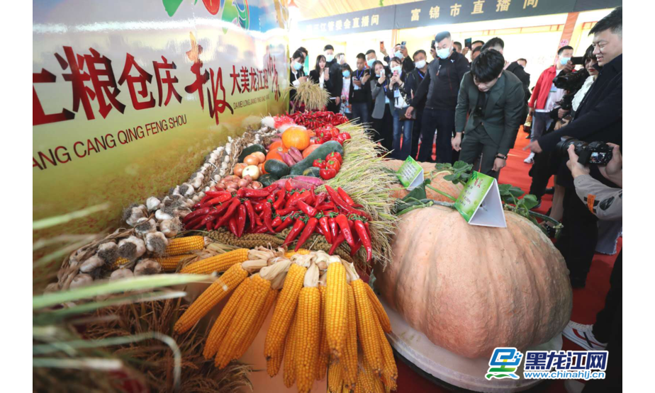 9月22日，一种名为冠军南瓜亮相2020年黑龙江省农民丰收节。据了解，冠军南瓜产自建三江研发中心，最大可生长600斤存储可达一年。（记者 白林鹤）