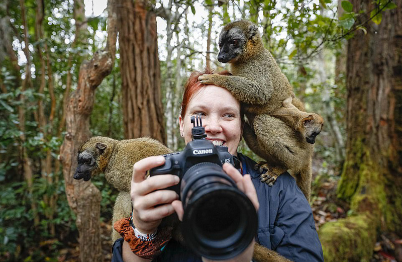 1/10张一组有趣的照片展现了野生动物摄影师被各种动物"骚扰"的情景