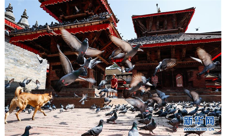 2019年10月9日，一名儿童在尼泊尔加德满都杜巴广场和鸽子嬉戏。 尼泊尔位于喜马拉雅山南麓，与中国和印度相邻，是一个内陆山国。 新华社记者 王婧嫱 摄