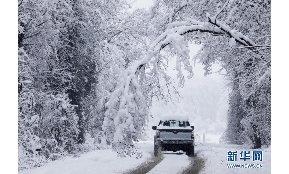 1月15日，在法国上莱茵省梅尔克桑，一辆汽车从雪地里经过。新华社发（亚基·内热朗摄）