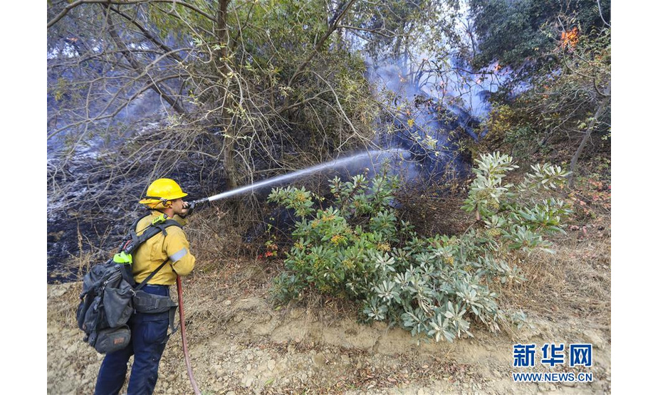 10月12日，在美国加利福尼亚州西尔马，消防员参与灭火行动。随着强劲的“圣安娜风”再度来袭，美国加利福尼亚州南部多地10日重启“火焰山模式”，已有2人在山火中死亡。加州州长纽瑟姆11日宣布发生山火的洛杉矶县和河滨县进入紧急状态，并已向联邦政府求助以共同应对加州山火危机。 新华社记者 李颖 摄