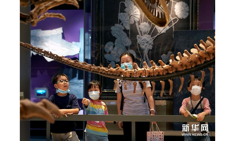 7月15日，小朋友和家长在上海自然博物馆参观。新华社记者 刘颖 摄