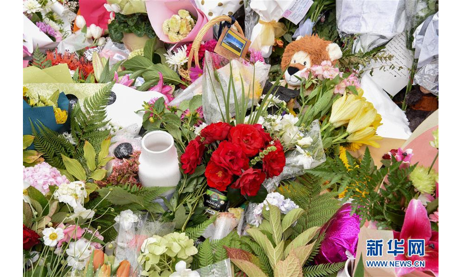 这是3月17日在新西兰克赖斯特彻奇枪击案现场附近拍摄的鲜花。 新西兰警察总署17日宣布，由于新发现一名遇难者，目前新西兰克赖斯特彻奇市枪击案已致50死50伤。 新华社记者郭磊摄