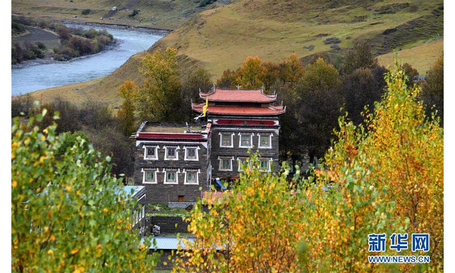 位于四川境内的川藏线著名摄影景点新都桥（10月16日摄）。新华社记者 陈天湖 摄