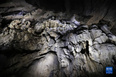 这是9月4日在比利时那慕尔省莱斯河畔昂村拍摄的汉溶洞景观。<br/><br/>　　汉溶洞位于比利时瓦隆大区那慕尔省的莱斯河畔昂村，是比利时著名的旅游景点。溶洞内拥有大量钟乳石、石笋等自然景观。<br/><br/>　　新华社记者 郑焕松 摄