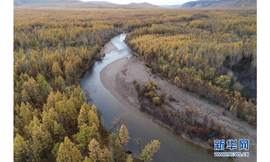 这是9月22日拍摄的奥克里堆山脚下的河流与森林（无人机照片）。

　　奥克里堆山位于内蒙古自治区呼伦贝尔市根河市。金秋时节，奥克里堆山的森林换上“秋装”，景色如画。 新华社记者 赵泽辉 摄