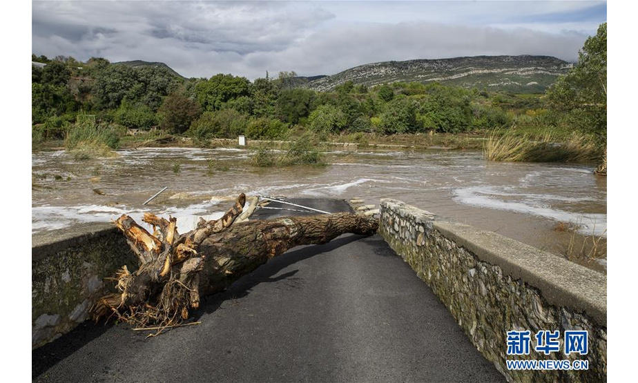 这是10月15日在法国奥德省拉格拉斯拍摄的暴涨的河水。新华社发（伊德里斯·比古-吉勒摄）