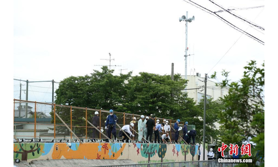 6月19日，日本政府派出调查小组对大阪府高槻市市立寿荣小学的坍塌围墙进行调查。在18日的大阪地震中，一名9岁小女孩因被该坍塌围墙压住而丧生。中新社记者 吕少威 摄