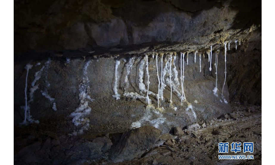 这是4月14日在位于死海南端的以色列迈勒海姆盐洞内拍摄的盐钟乳石。 以色列洞穴研究专家近日宣布，他们与来自其他国家的洞穴探索者合作勘查发现，位于死海地区的以色列迈勒海姆洞长10公里，是世界上最长的盐洞。这个盐洞最初由以色列希伯来大学洞穴研究中心专家上世纪80年代在绵延11公里的塞多姆山里发现。塞多姆山位于死海西南端，比海平面低170米。山体几乎全部由盐构成，只覆盖薄薄一层岩石。每年冬季，雨水渗入山石缝隙，溶解盐分，不断形成新的洞穴。 新华社记者 郭昱 摄