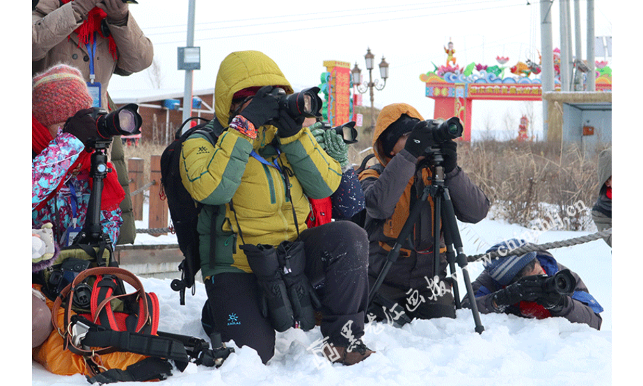 道里区创建国家公共文化服务体系示范区采风行活动走进长岭湖，在寒风凛冽中，摄影师们冒着严寒拿着相机记录着长岭湖的美景。