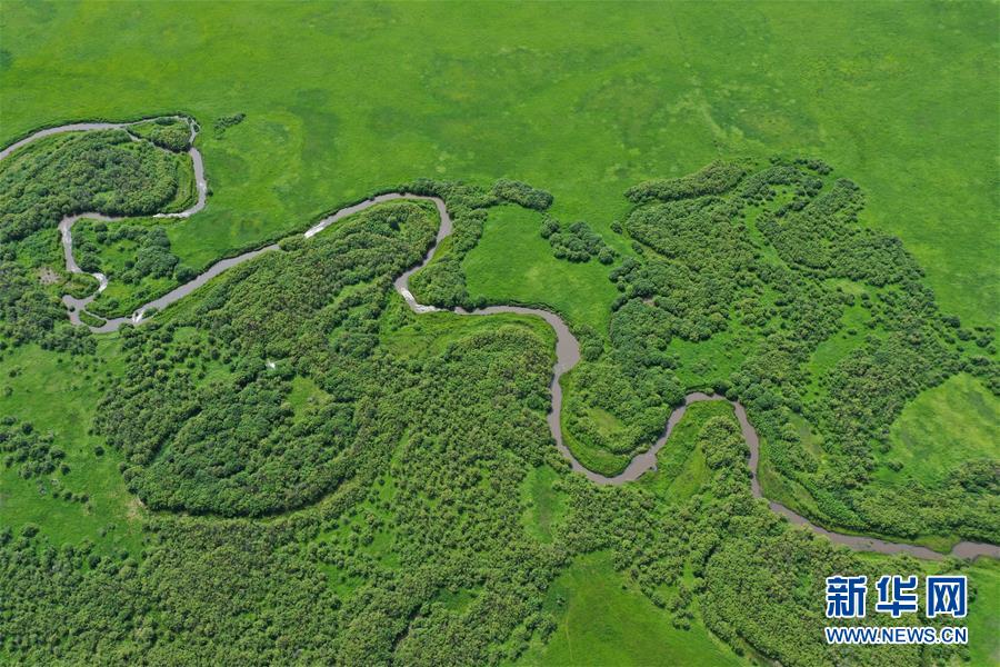乌兰毛都草原景色（7月2日无人机照片）。 盛夏时节，内蒙古兴安盟科尔沁右翼前旗的乌兰毛都草原绿意盎然，风景醉人。 乌兰毛都草原地处大兴安岭南麓，属丘陵山地草原，风光独特。 新华社记者 徐钦 摄