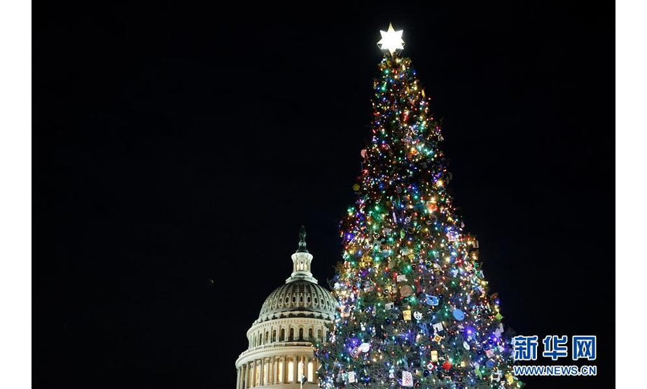 这是12月4日在美国华盛顿拍摄的国会大厦和国会圣诞树。 美国国会圣诞树点亮仪式4日举行。 新华社发（沈霆摄）