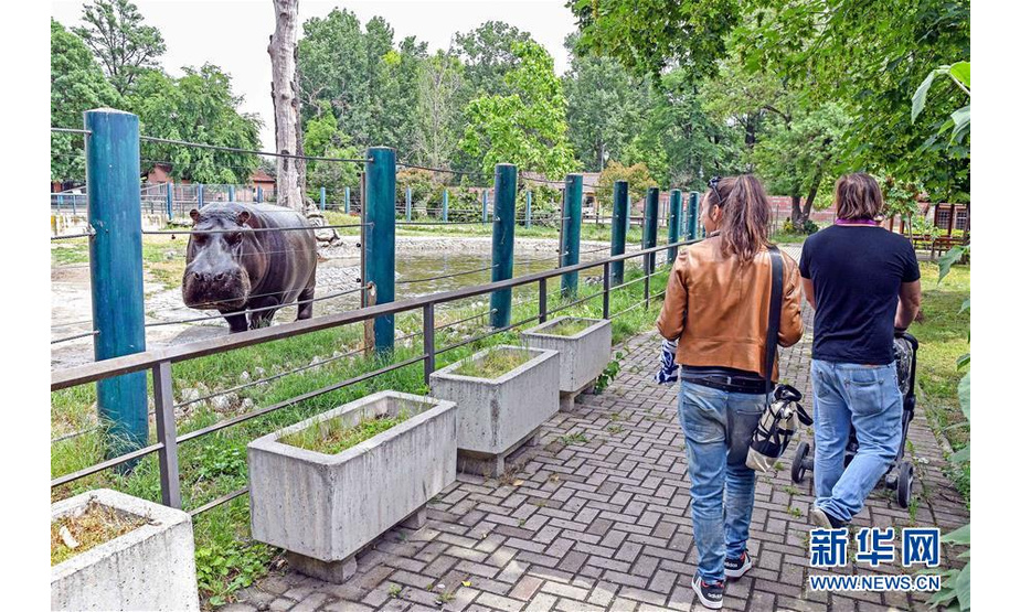 5月26日，游客在北马其顿斯科普里动物园参观。新华社发（托米斯拉夫·格奥尔基耶夫摄）