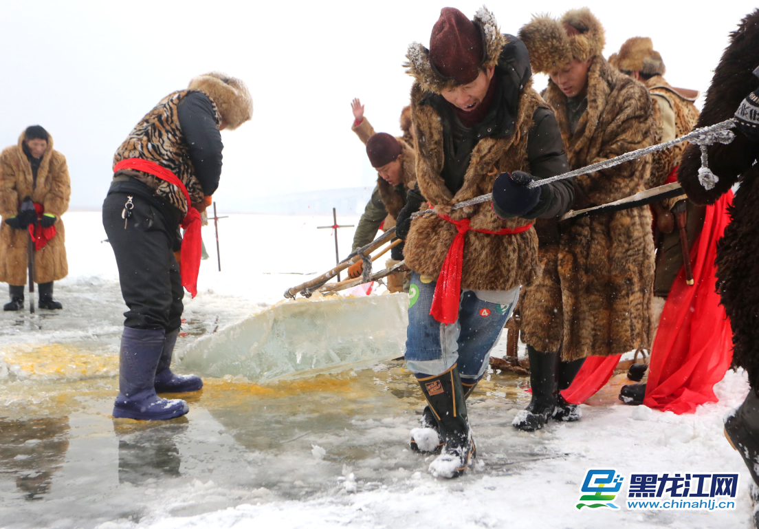 中国冰城哈尔滨每年冬季都见证中国最大规模的采冰活动，在北风呼啸、光滑如镜的松花江上，每天近千名采冰工人一起作业，取冰场面十分壮观。王铁男 摄