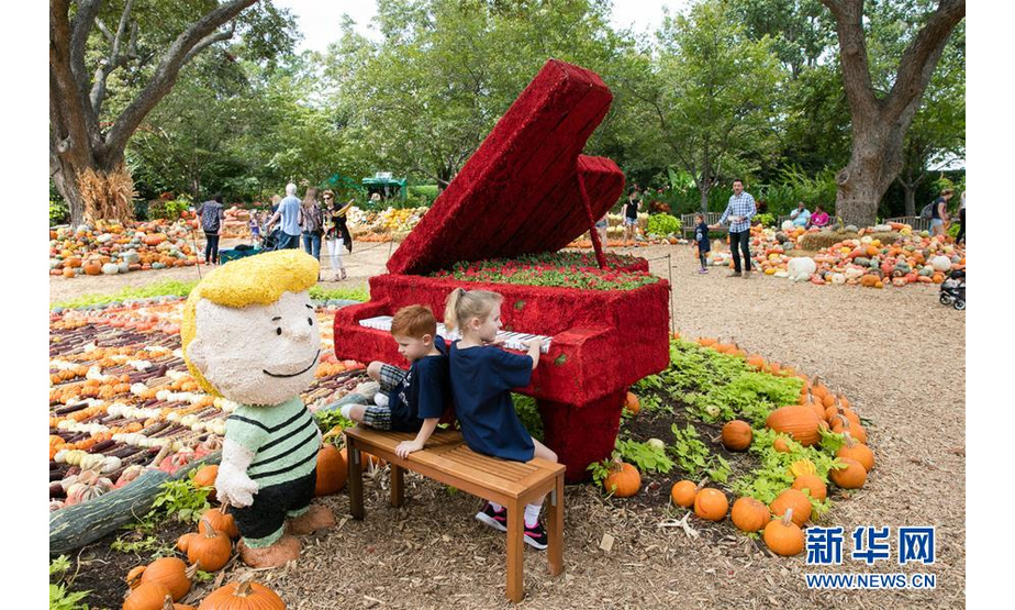 10月10日，在美国得克萨斯州达拉斯植物园的“南瓜小镇”，两名小朋友在南瓜地里的钢琴模型上玩耍。 美国得克萨斯州达拉斯市植物园每年秋天都要搭建一座“南瓜小镇”，今年的“南瓜小镇”以美国著名漫画人物查理·布朗和他的小伙伴们为主题。 新华社发（田丹摄）
