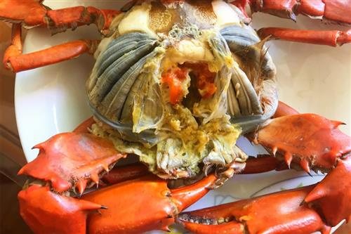 【推荐】秋季吃螃蟹有禁忌,吃蟹要记住这四点