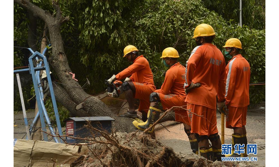 5月24日，在印度加尔各答，应灾部门人员清理一处倒下的树木。 特强气旋风暴“安攀”本周早些时候重创印度西孟加拉邦，政府正在组织灾区清理，以恢复正常生活。 新华社发