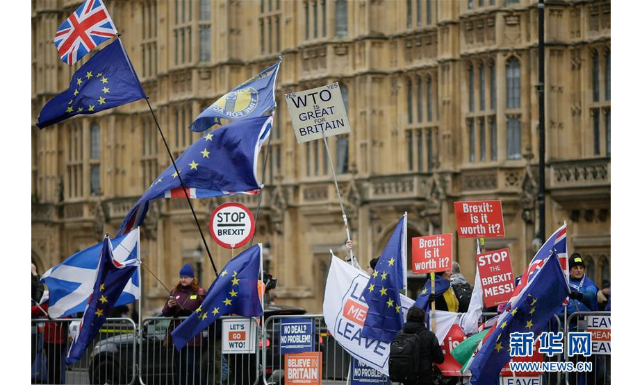 1月14日，在英国伦敦，支持脱欧和反对脱欧的示威者在议会大厦外手举旗帜和标语牌。新华社发（蒂姆·爱尔兰摄）