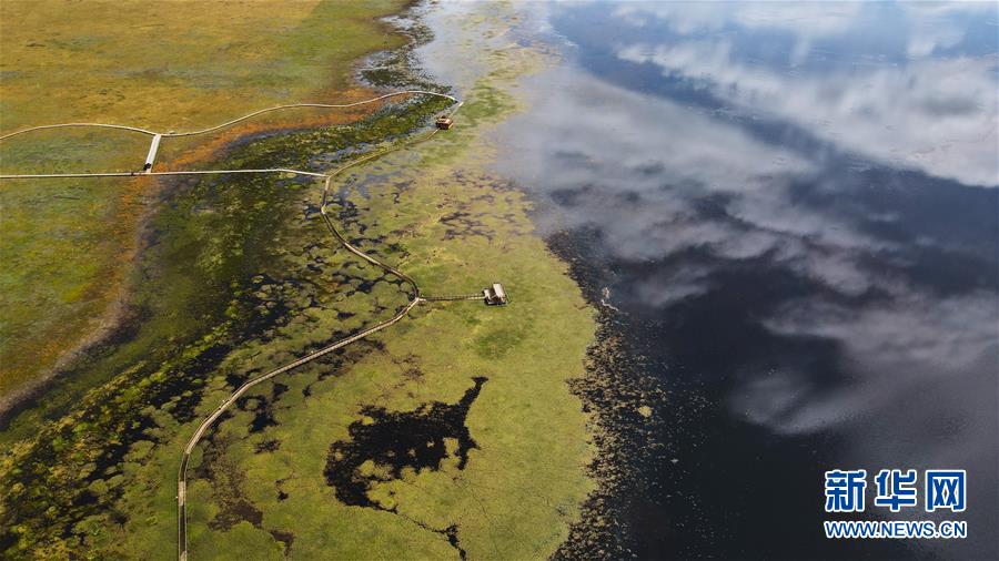 这是9月15日在甘肃省甘南藏族自治州碌曲县拍摄的尕海湖（无人机照片）。新华社记者 张智敏 摄