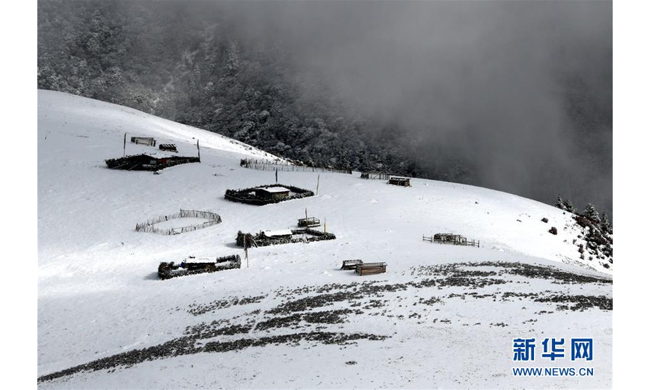 川藏线四川理塘县境内的雪山和民居（10月17日摄）。新华社记者 陈天湖 摄