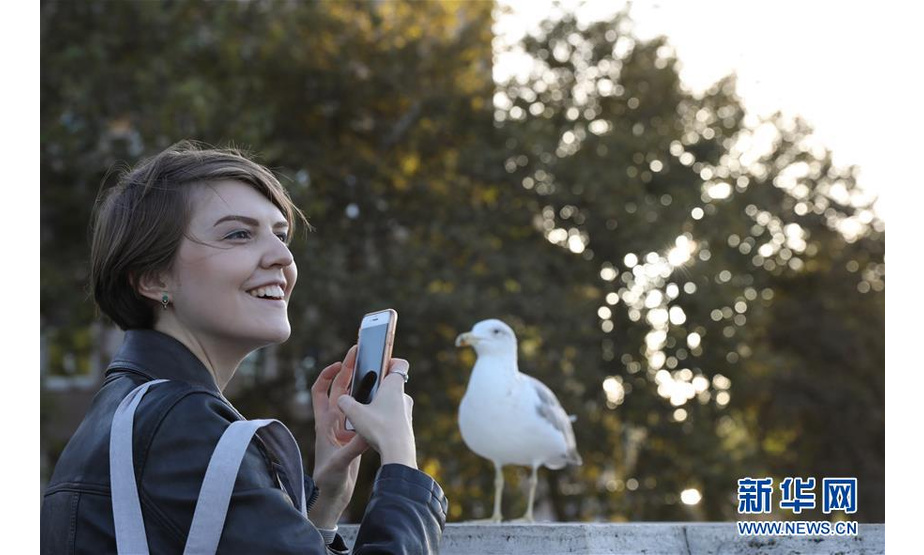 11月4日，在意大利首都罗马，一名女子在圣天使桥上拍摄海鸥。 连日阴雨后，罗马迎来了好天气，人们纷纷来到户外享受秋日的阳光与美景。 新华社记者程婷婷摄
