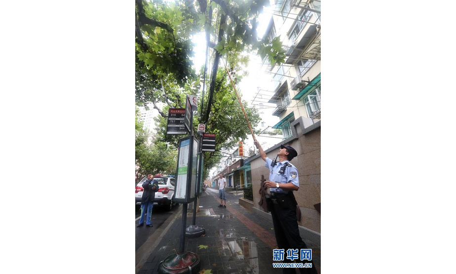 8月17日，一名民警在上海市天山路上将被台风吹断的树枝移除。新华社记者 陈飞 摄