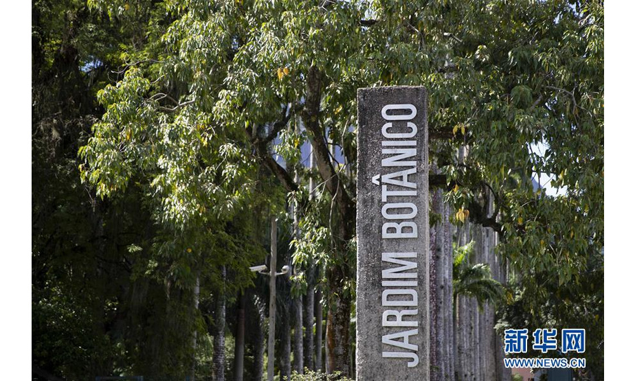这是3月27日拍摄的巴西里约热内卢植物园入口。 新华社记者李明摄