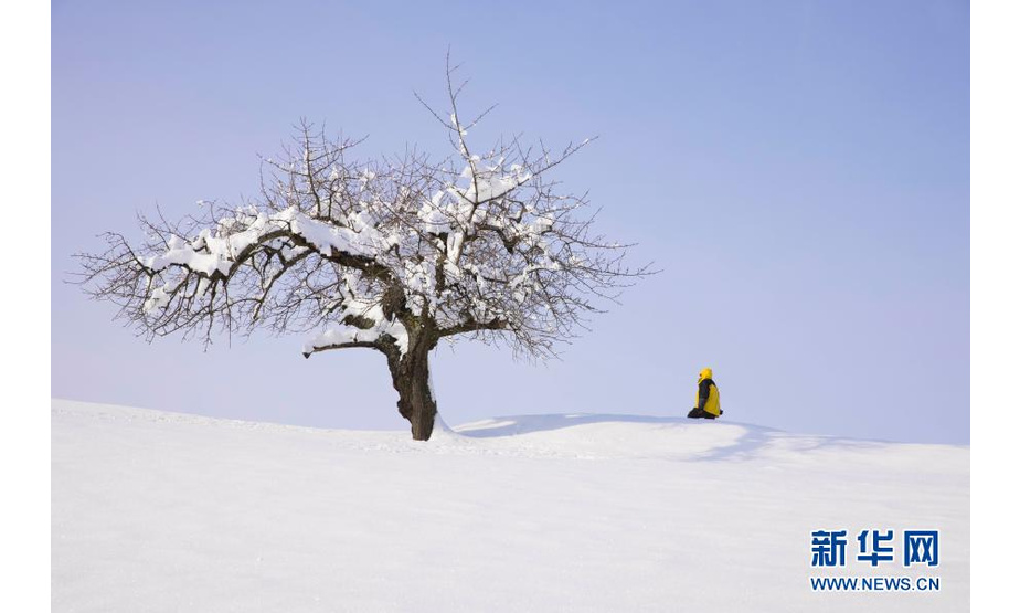 1月16日，在法国上莱茵省弗雷朗，一名男子走在雪后的山坡上。新华社发（亚基·内热朗摄）
