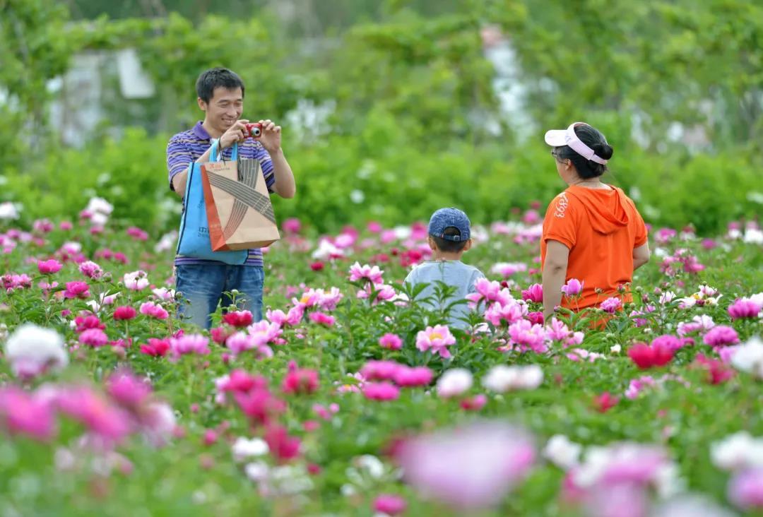 开心花园。杨宝章摄