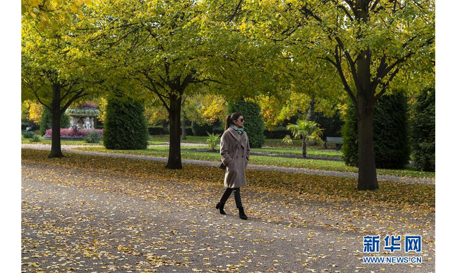 10月19日，一名女子在英国伦敦摄政公园内欣赏秋景。 新华社记者 韩岩 摄