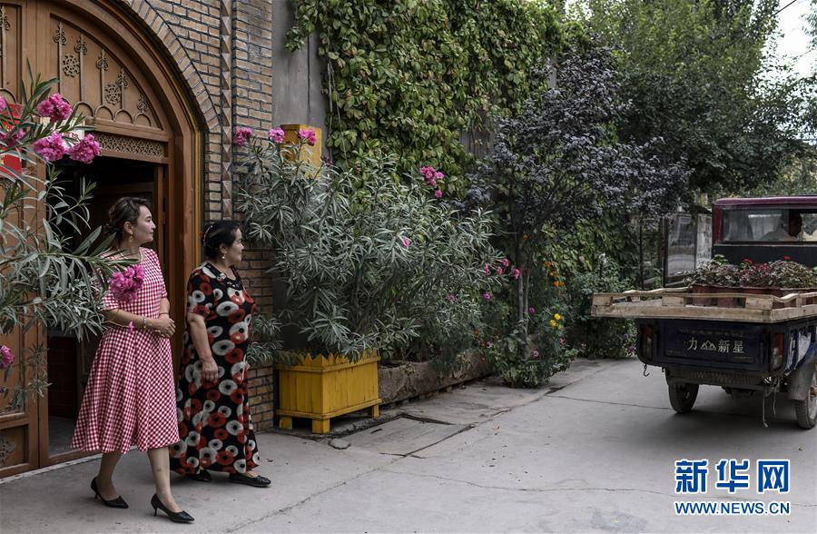 以花为媒 打造美好生活 黑龙江网