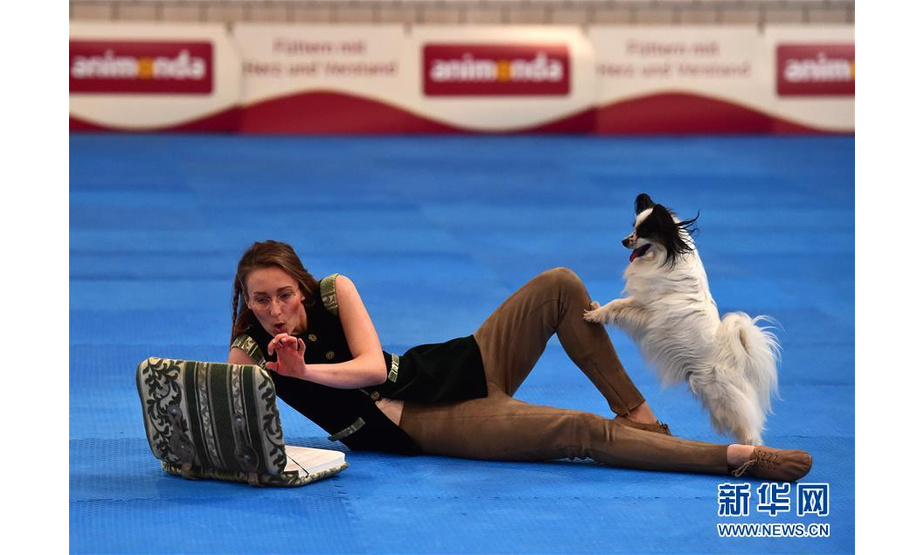 5月19日，在德国多特蒙德举行的宠物展上，一名女士带着爱犬参加宠物跳舞比赛。 为期三天的德国多特蒙德“狗和猫”宠物展19日落幕。宠物展期间，人们带着自己的“萌宠”来到会场，参与宠物跳水、舞蹈、选美等趣味比赛，并与其他宠物爱好者及展商交流互动。 新华社记者逯阳摄