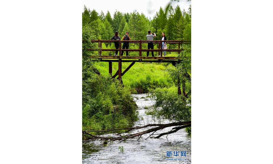 7月14日，游人在阿尔山国家森林公园内拍照。

　　夏日时节，内蒙古兴安盟阿尔山市的阿尔山国家森林公园内树木郁郁葱葱，景色宜人。

　　新华社记者 彭源 摄