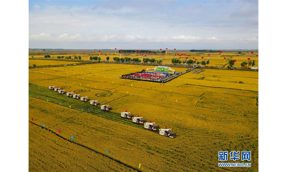 9月22日，农民驾驶农机在吉林省白城市镇赉县收割水稻（无人机照片）。 当日是中国农民丰收节。全国各地举行丰富多彩的庆祝活动，喜看丰收硕果，展望幸福生活。 新华社记者 张楠 摄