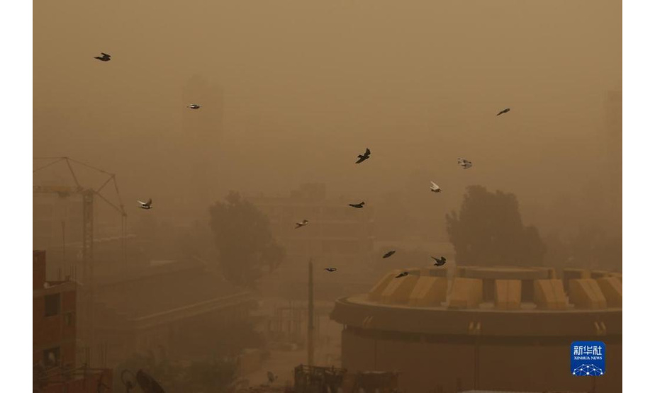 这是12月8日拍摄的笼罩在沙尘中的埃及首都开罗。 当日，大风沙尘天气袭击埃及首都开罗，城市能见度较低。 新华社发（艾哈迈德·戈马摄）