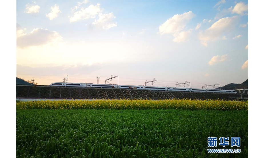 3月20日，动车组列车行驶在西成高铁陕西汉中段（无人机拍摄）。 春分将至，陕西省汉中市境内的油菜花竞相开放，高铁列车穿行其中，犹如一幅美丽的风景画。 新华社发（唐振江 摄）
