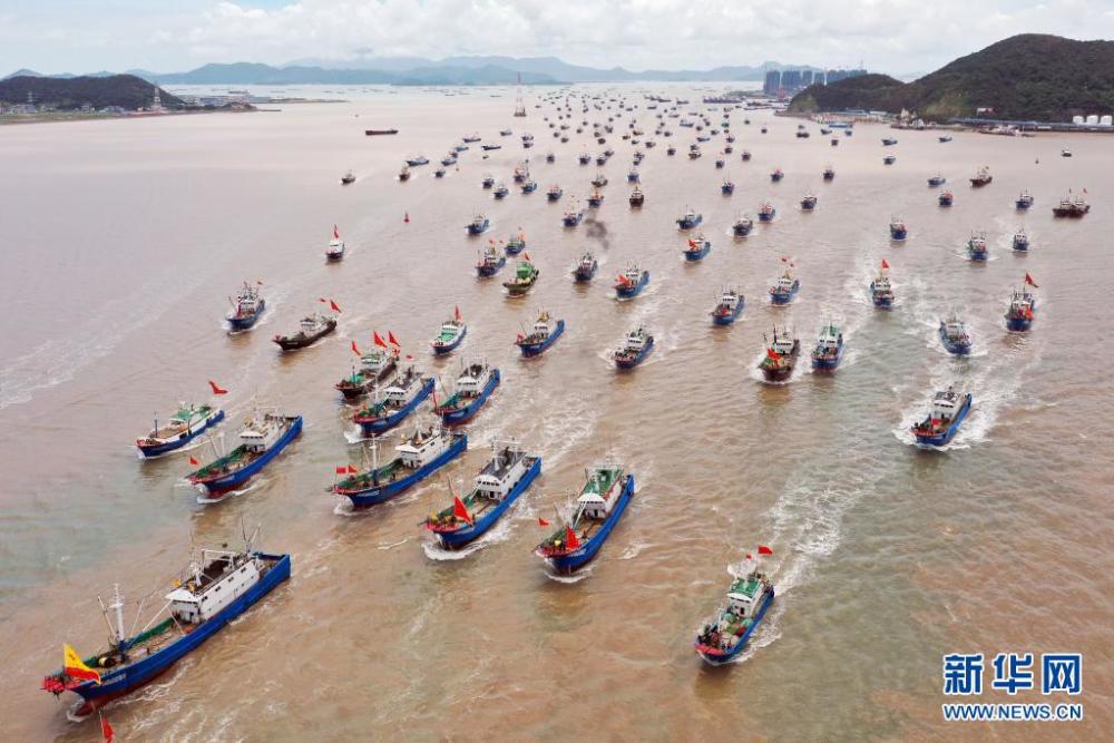 8月1日，浙江省舟山市大批渔船从沈家门渔港开赴东海海域进行捕捞作业（无人机照片）。 当日中午12时，浙江沿海地区的部分渔船结束伏季休渔，驶出渔港，奔赴渔场。 新华社发（邹训永 摄）