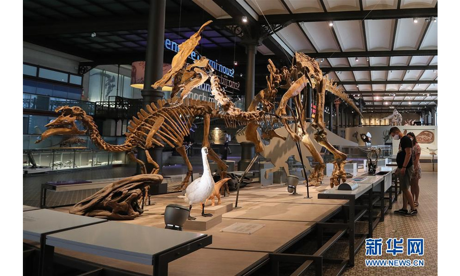 9月15日，在比利时布鲁塞尔的比利时皇家自然科学博物馆，人们参观恐龙模型。新华社记者 郑焕松 摄