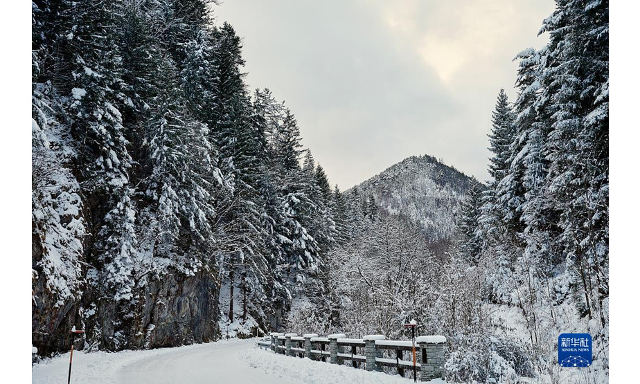 这是12月10日在奥地利下奥地利州一处山区拍摄的雪景。

　　近日，奥地利全境遭遇降雪天气，雪后的奥地利山区风景如画，美不胜收。

　　新华社发（乔治斯·施耐德 摄）
